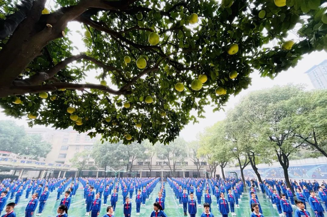 李臻调离泰禹小学图片