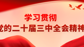 激发创新活力 增强发展动能——上海交易集团系统深入学习贯彻党的二十届三中全会精神（一）