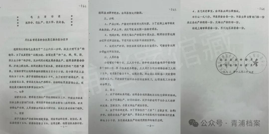 元（鼋）荡上“舞动”的一对跨界“姊妹桥”
