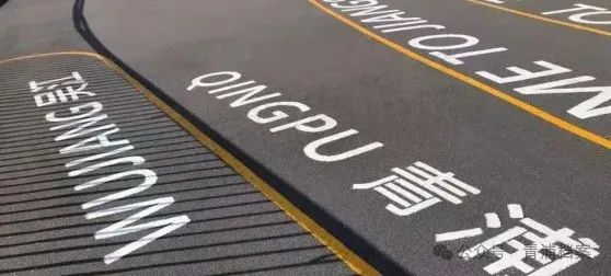 元（鼋）荡上“舞动”的一对跨界“姊妹桥”