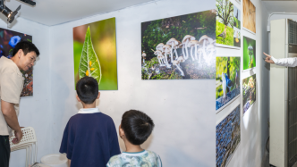 街區零距離 | 家門口的生靈野趣科普攝影精品展