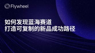 如何发现蓝海赛道，打造可复制的新品成功路径