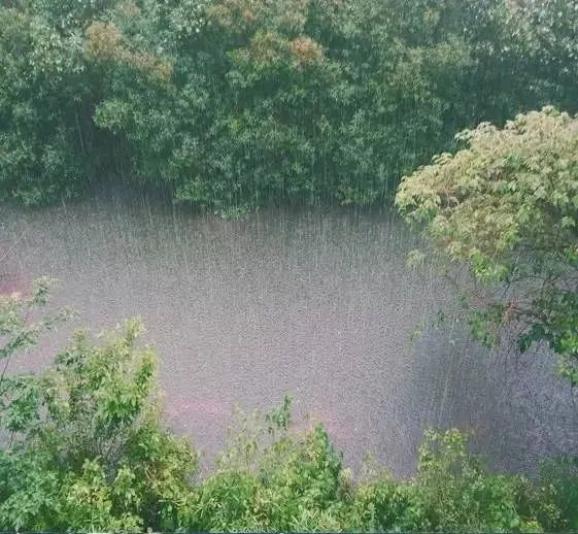 阿尔山 | 阵雨要来啦