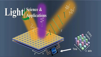 Light | 以线性和非线性方式调控极化和相位