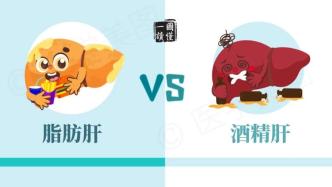 一圖讀懂丨脂肪肝 VS 酒精肝