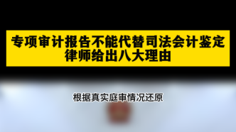 專項審計報告不能代替司法會計鑒定，律師給出八大理由