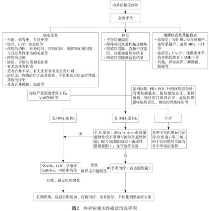 异位妊娠诊疗流程图图片