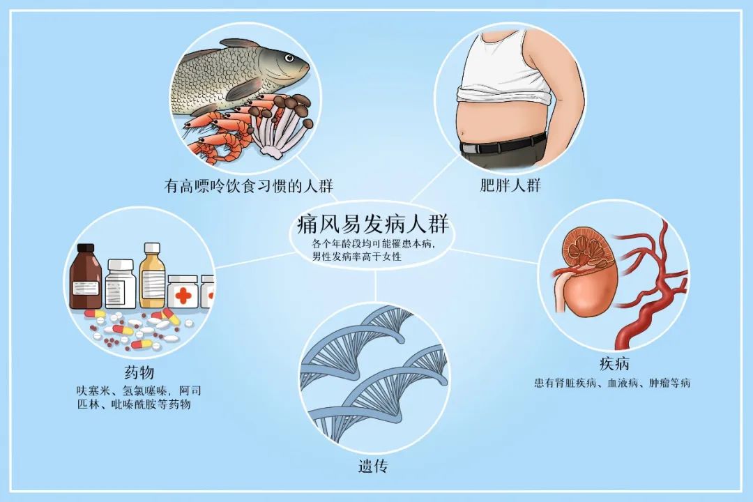 【漫话健康】成人高尿酸血症与痛风食养指南