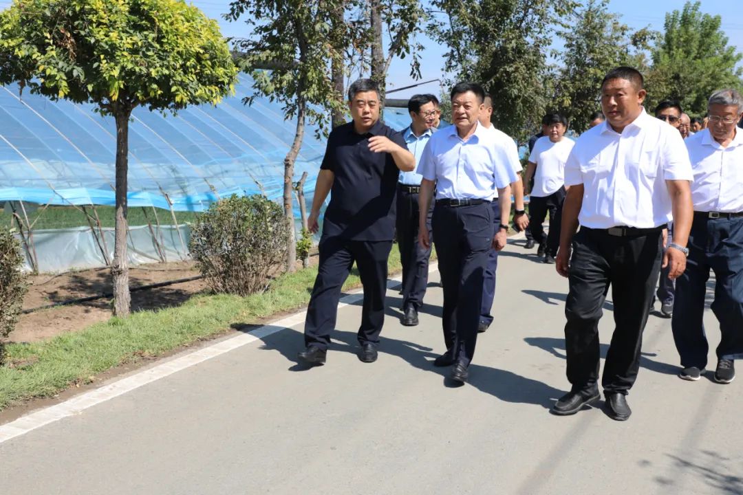 老干部们先后参观了国家级水稻制种基地,国家农高区科创中心,怀德镇三