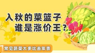 买不起的菜：18种蔬菜比去年贵，谁是这轮涨价王？