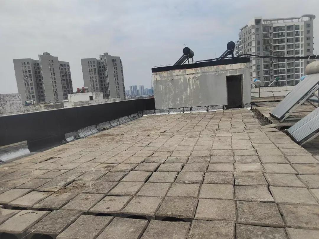 荆门市掇刀区牌坊社区:清理楼顶"顽疾" 提升空间"颜值"