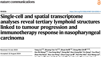 贝锦新团队解析三级淋巴结构在鼻咽癌肿瘤进展及免疫治疗作用