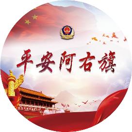 [夏季行动 • 平安守护]阿右旗公安：深入机动车检测机构开展安全大检查(图5)