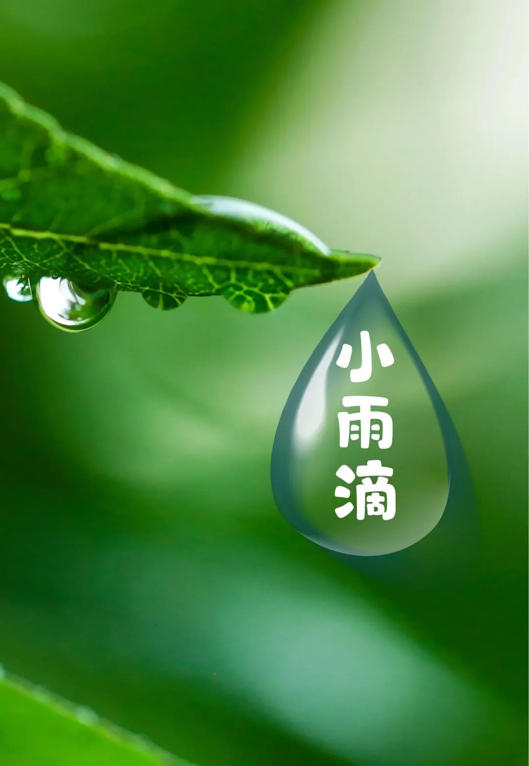 这是一篇"小雨滴"故事的推文,你不看会后悔
