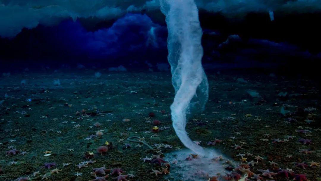 Trapped in a Frozen Tomb: The Deadly 'Ice Finger' That Turns the Seabed into a Frozen Grave - News Directory 3