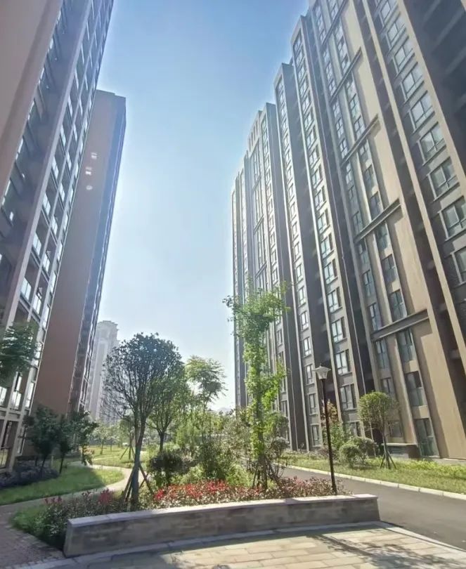 现场实拍!隆昌这个公租房小区接房了