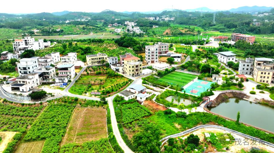 中国农民丰收节 | 茂名绘就宜居宜业和美乡村多彩画卷