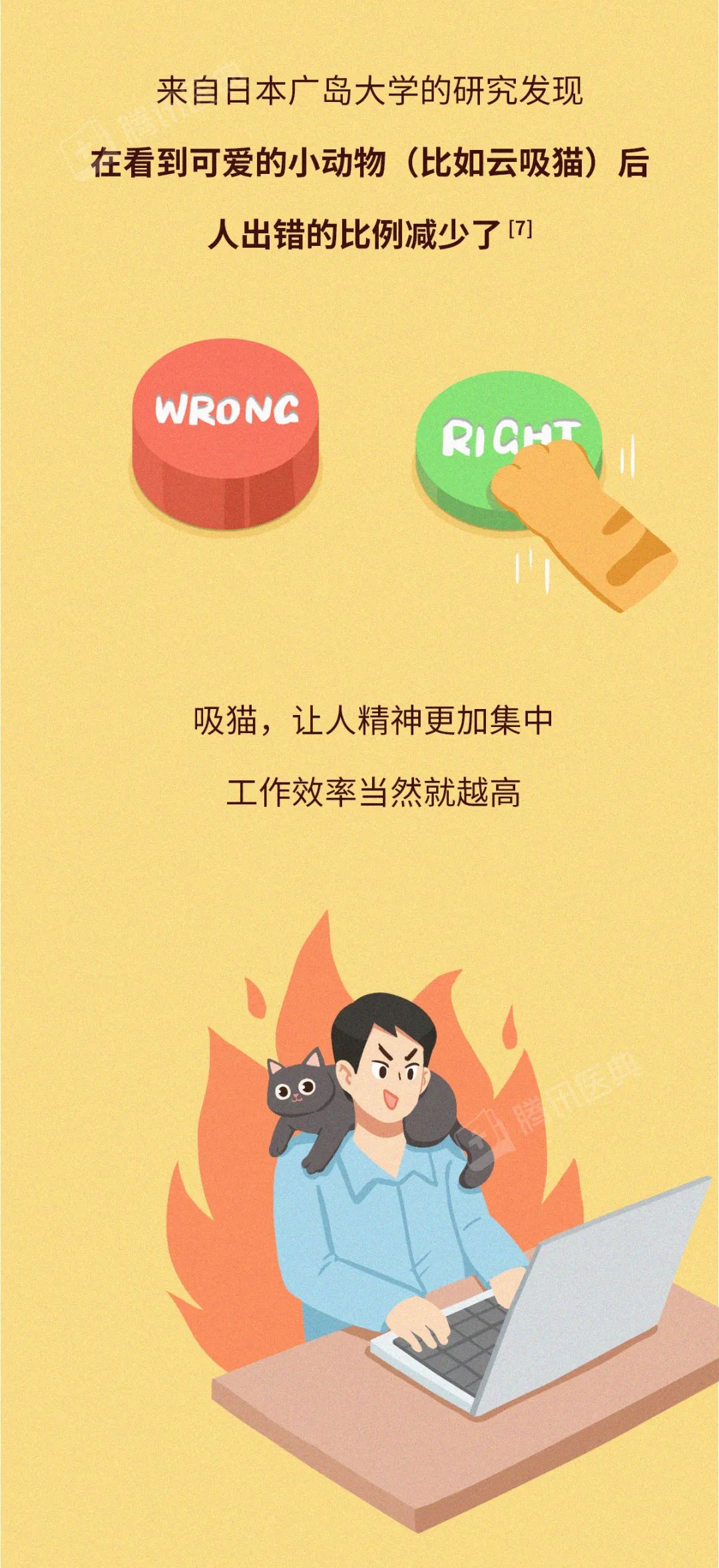 千万不要撸猫，不然你会……  第35张