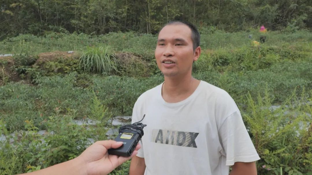 紫云板当镇: 小辣椒"走"出国门