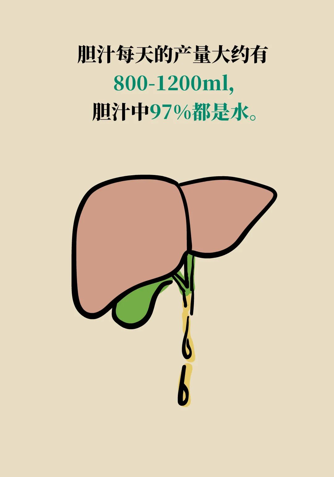 最“没用”的器官，却最甘愿为你牺牲？请善待  第8张