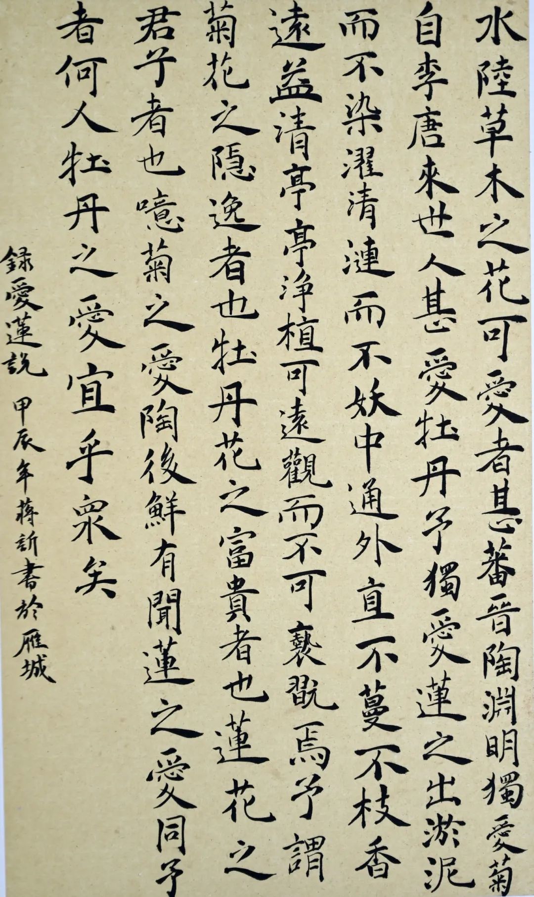 《白梅》蒋欣 (许可家属)干警家属作品展示《千字文》王榕《诫子书》