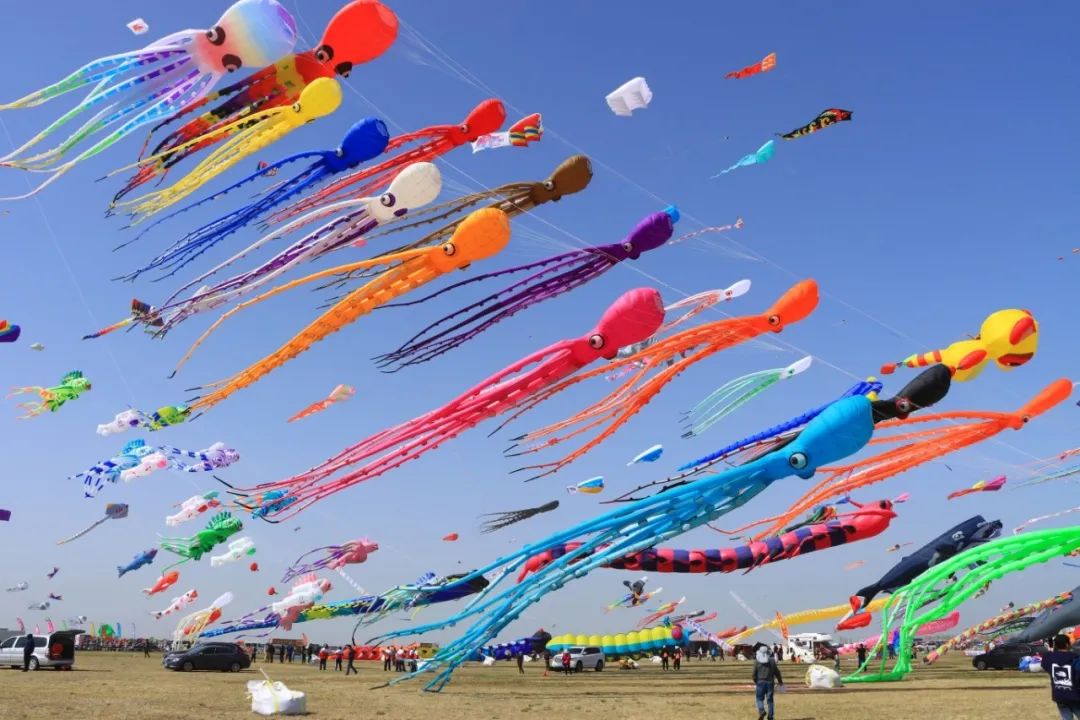 2024潍坊风筝嘉年华山东省第11届风筝锦标赛来啦