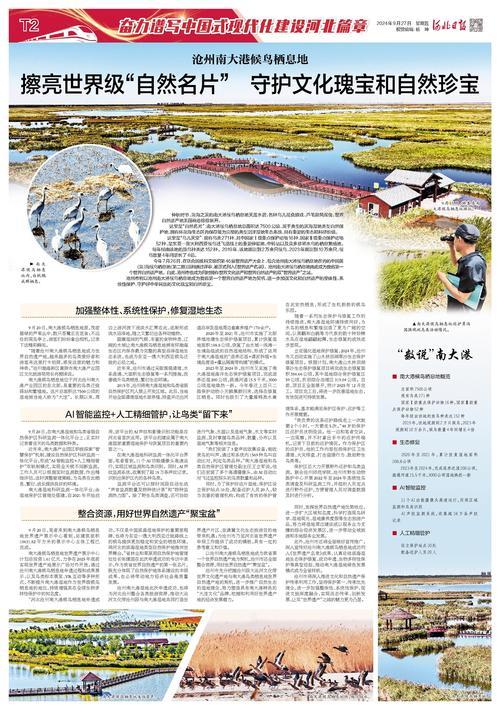 沧州南大港候鸟栖息地擦亮世界级“自然名片”守护文化瑰宝和自然珍宝_澎湃号·政务_澎湃新闻-The Paper