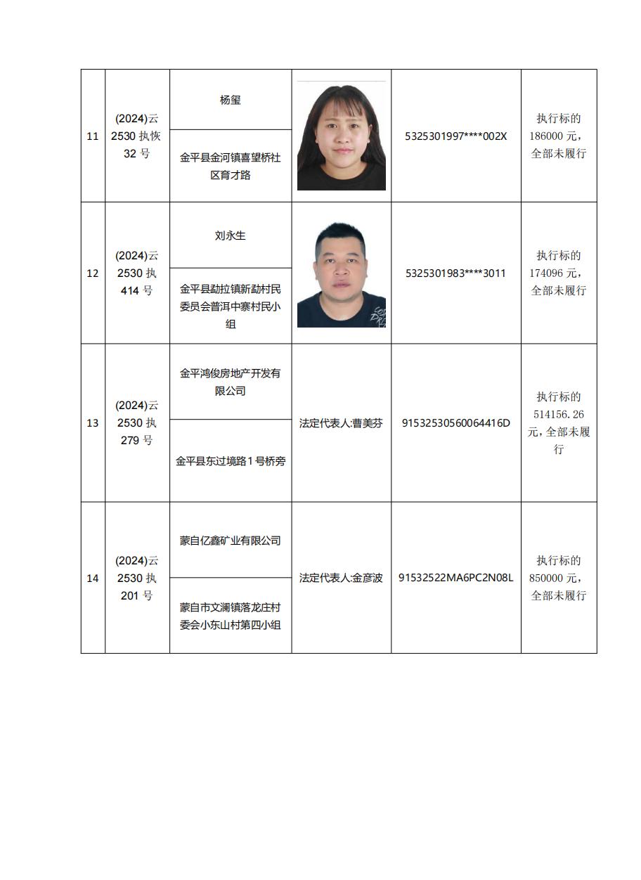 金平苗族瑶族傣族自治县人民法院失信被执行人名单