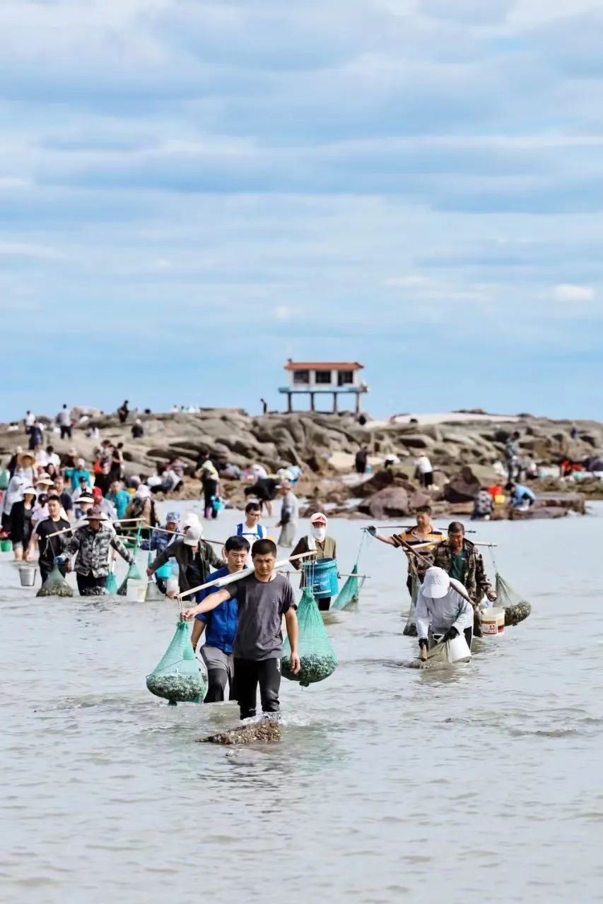 阿向海钓赶海图片