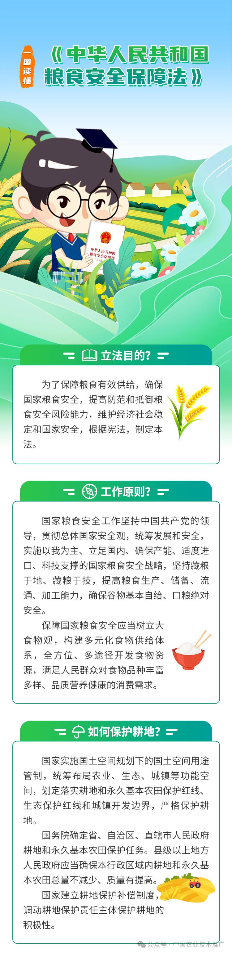 爱惜粮食的方法图片