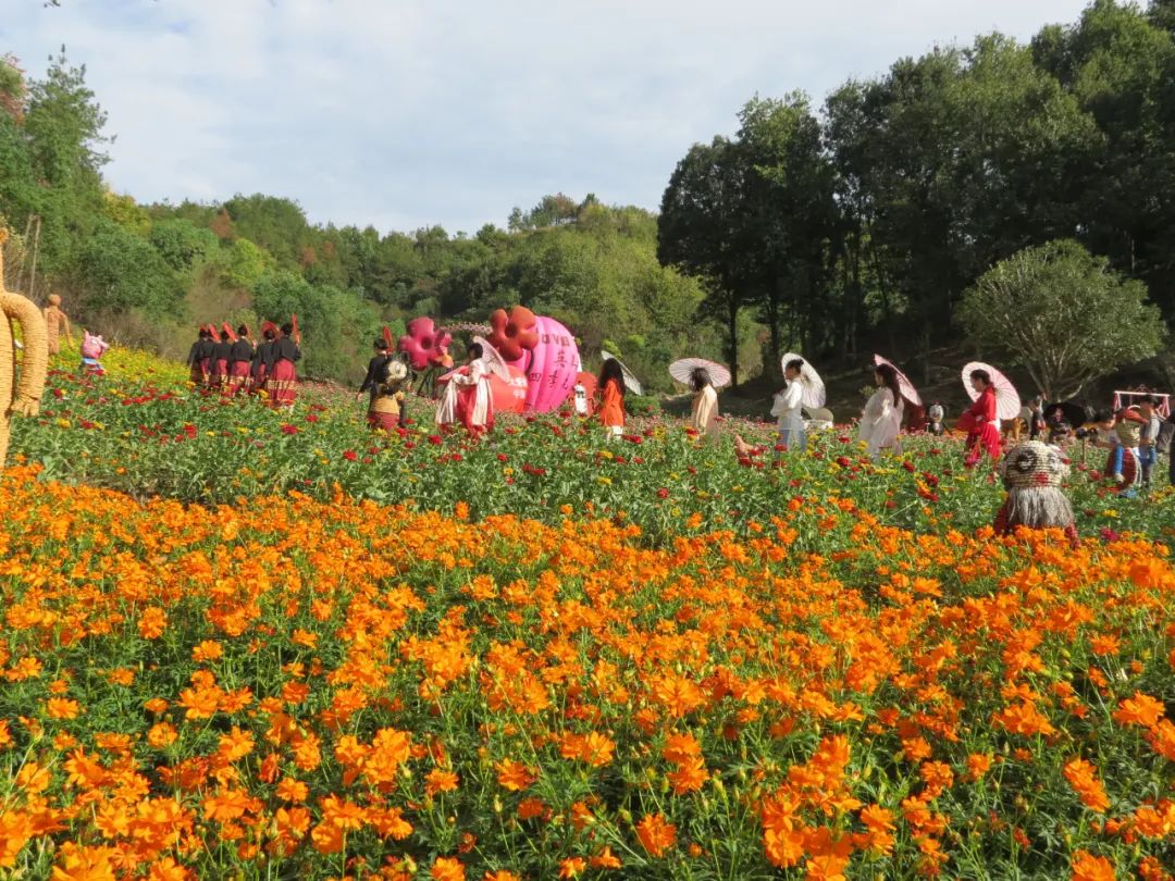 邻水石滓四季花海门票图片