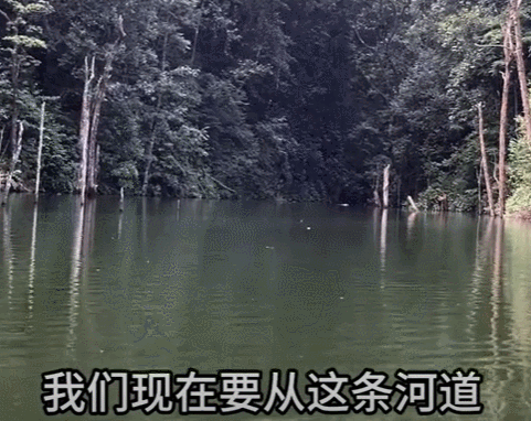 突然“爆红”的哀牢山是什么来头？当地人：不该去的地方不要去！