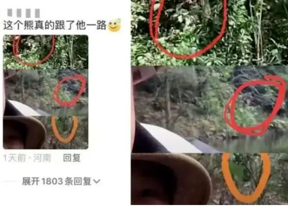 突然“爆红”的哀牢山是什么来头？当地人：不该去的地方不要去！