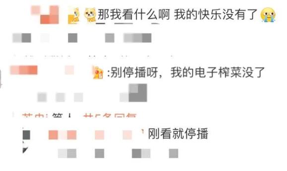30天涨粉近千万,博主突然宣布停播!刚刚本人回应→_澎湃号·媒体_澎湃新闻-The Paper
