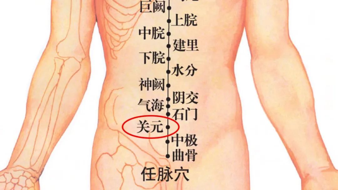 弯寸关位置图图片