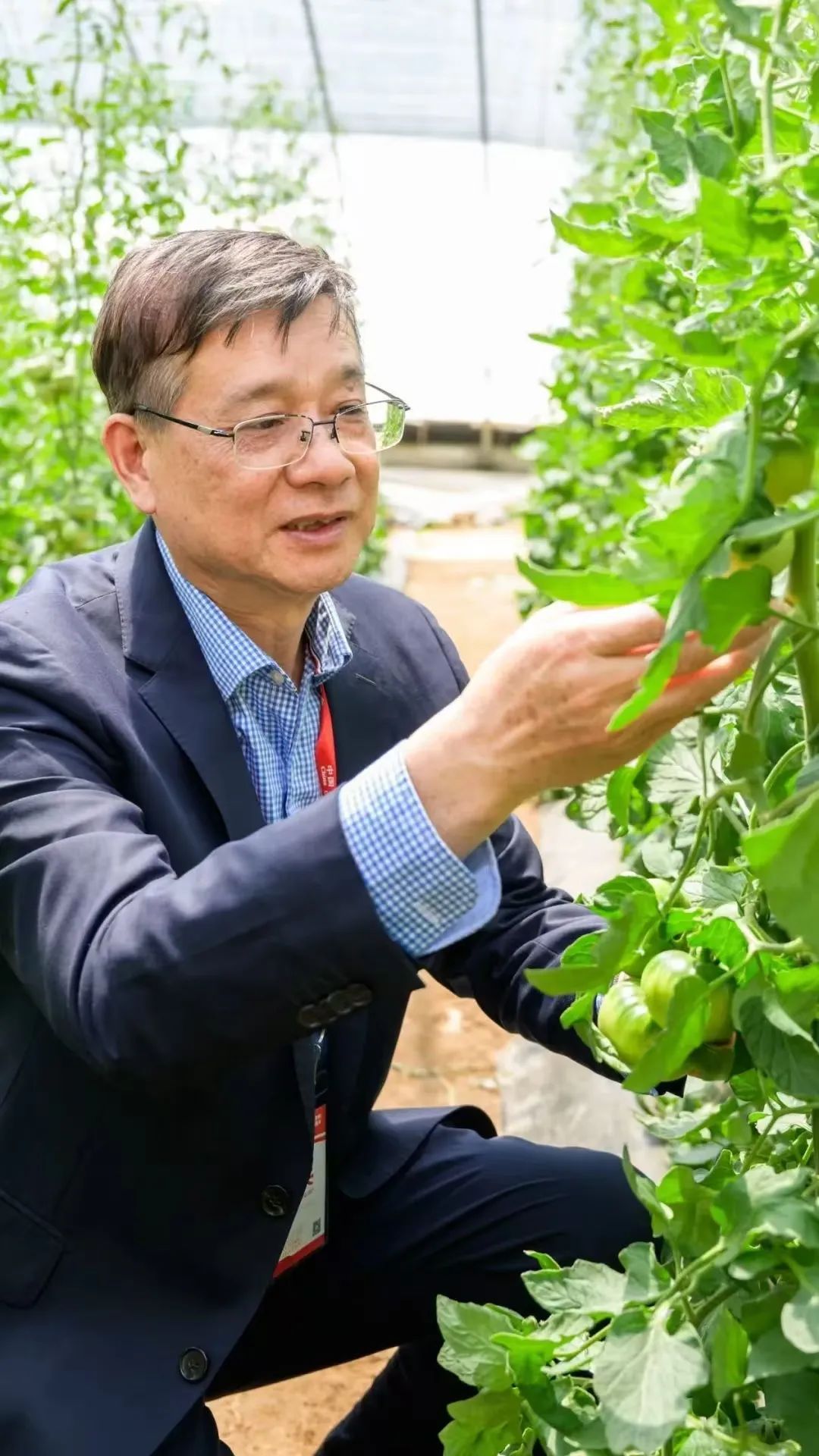 近年来,叶志彪教授团队