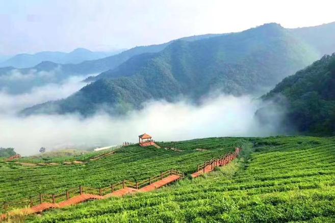 不远万里，只因有你~全球旅行商走进房县西关印象