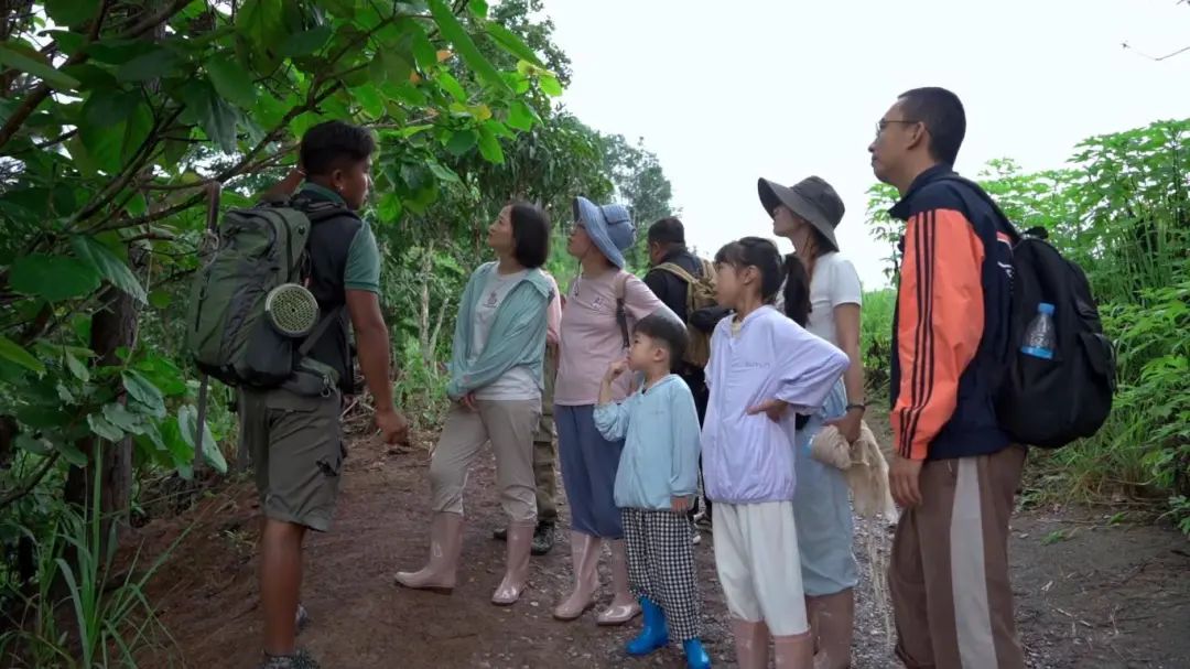 景洪市基诺山乡:守住安全底线 让风景远离风险