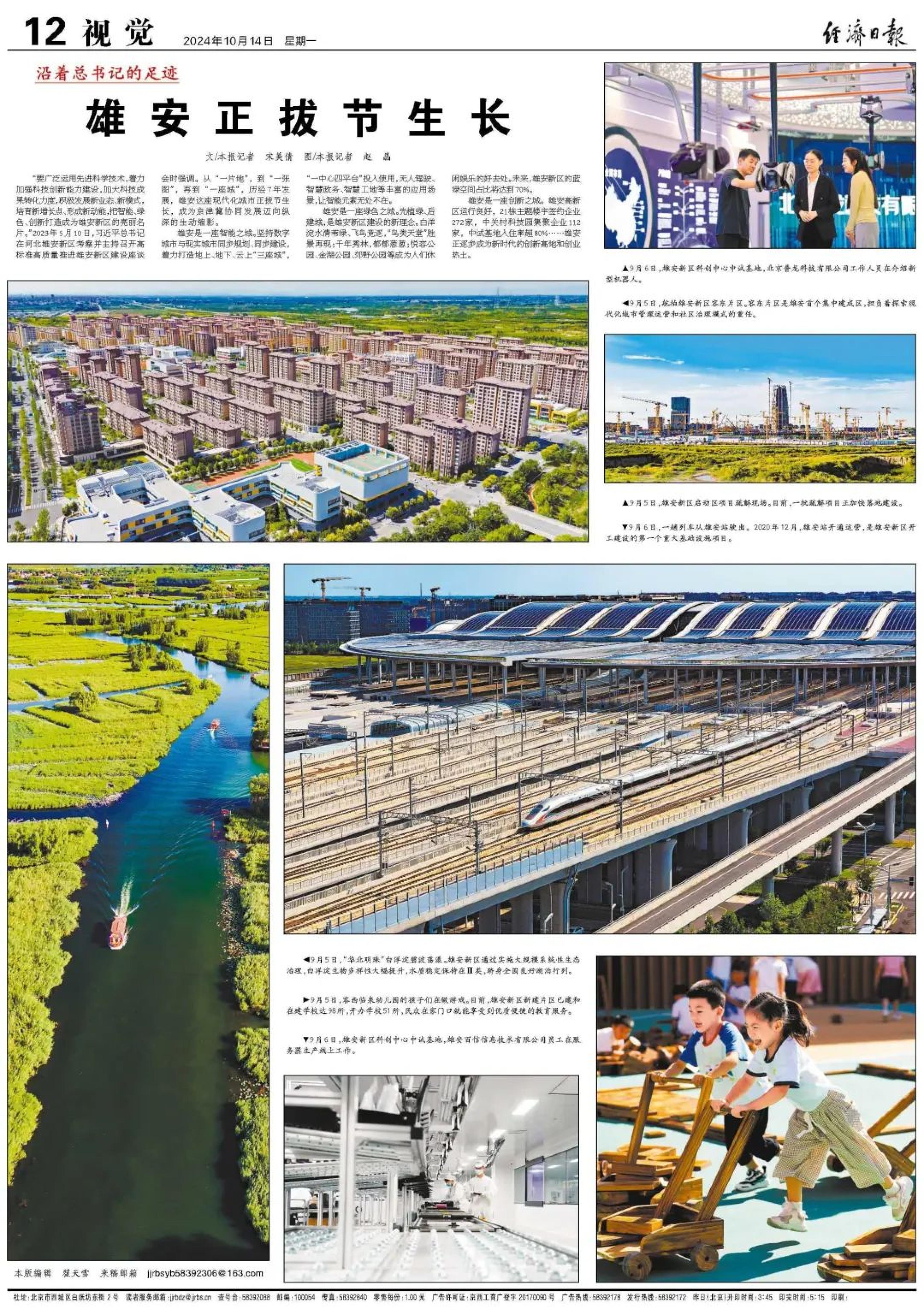 雄安正拔节生长