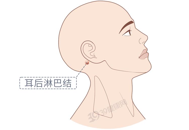 耳前淋巴结示意图图片