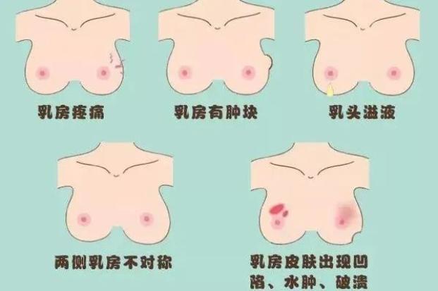 内乳淋巴结解剖位置图片