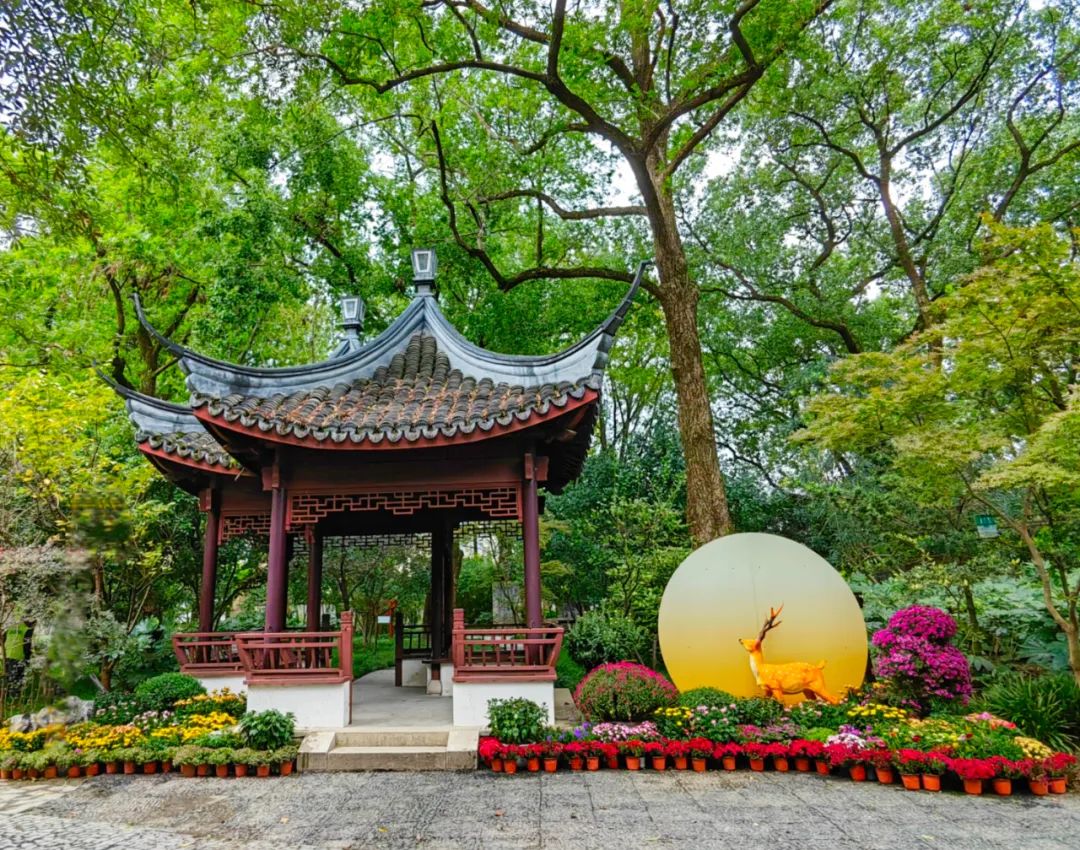走,去醉白池公园赏菊花!