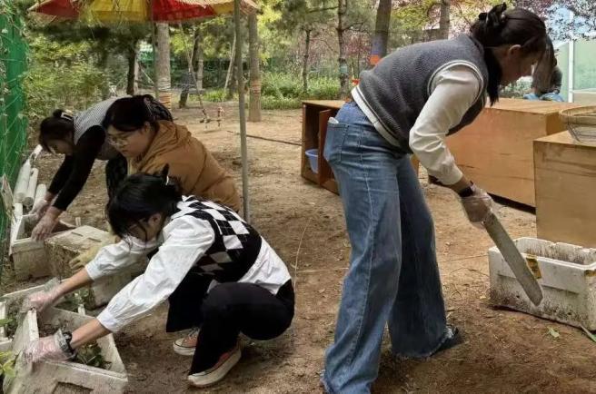自然教育理念幼儿园_幼儿园户外环境设计word_玉田县第一幼儿园户外环境创设
