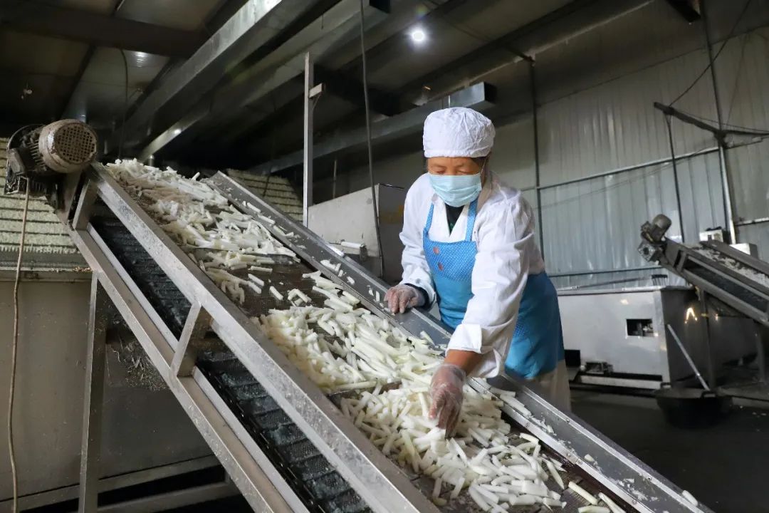 变成了一箱箱美味的萝卜干,实现了萝卜从特色种植,加工到销售的一体化