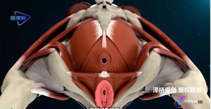 冲洗肛门用什么喷头你有“洗屁股”的习惯吗？经常洗肛门竟然有这4大惊人好处-上海聚慕医疗器械有限公司