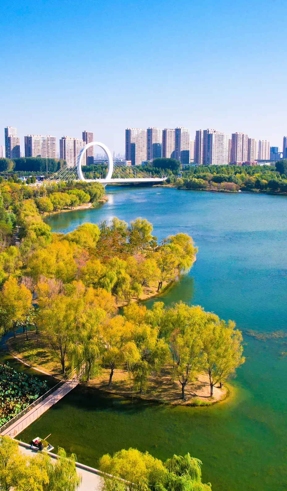 接下来的郑州 瞅你美的