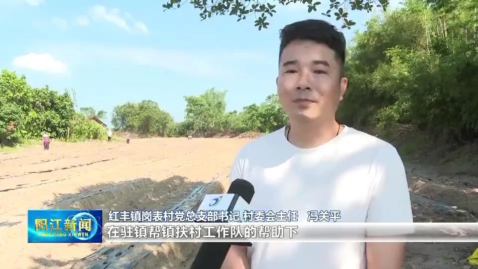 澳门精准特马资料-理论解答解释落实_豪华版107.161