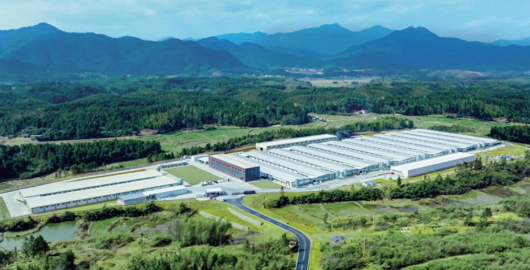 央视网超级工厂走进盐津铺子揭秘中国零食背后的全产业链实力