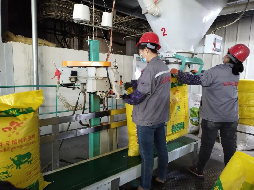 在农村开个小型饲料加工厂怎么样(在农村开个小型饲料加工厂怎么样呢)
