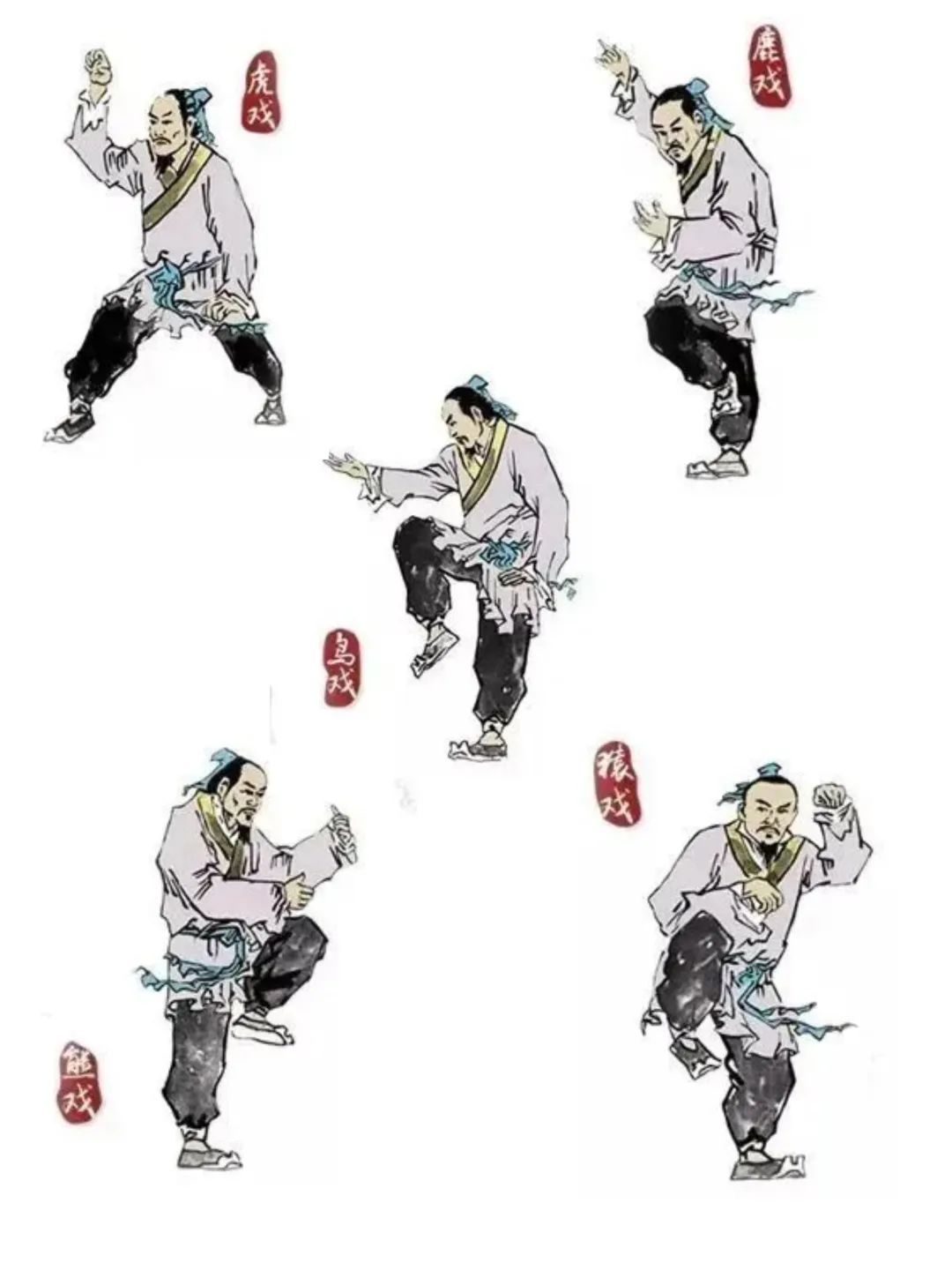 五种动物的动作,五禽戏能够有效增加本体